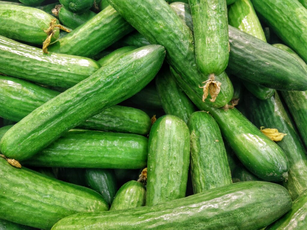 Types of Cucumbers