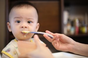 Homemade Baby Food Recipes for 1 year-old