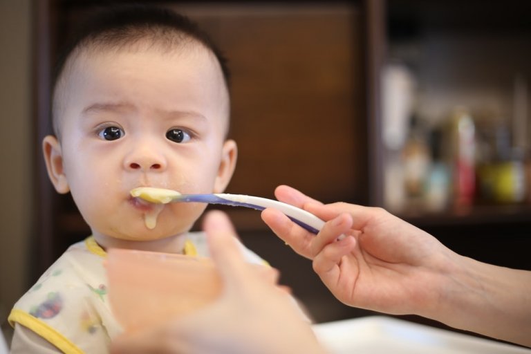 Homemade Baby Food Recipes for 1-year-old